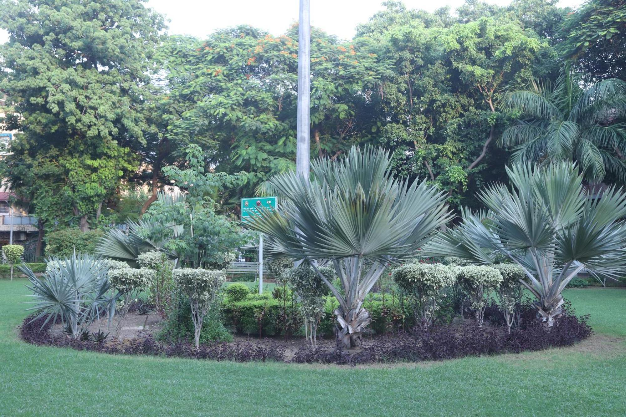 Divine India Service Apartment 3Bhk,B57 Sarita Vihar,Apollo Nové Dillí Exteriér fotografie